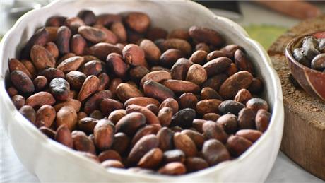 Group Banner Picture